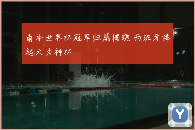 南非世界杯冠军归属揭晓 西班牙捧起大力神杯