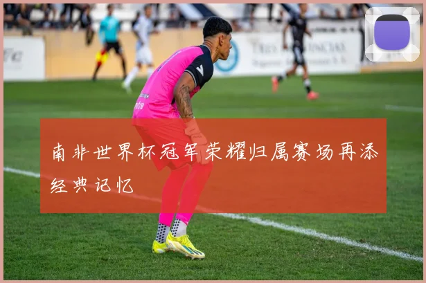 南非世界杯冠军荣耀归属赛场再添经典记忆
